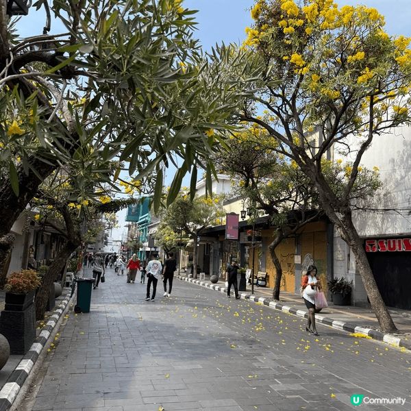 萬隆氣候怡人、四季如春，有東方小巴黎之稱。