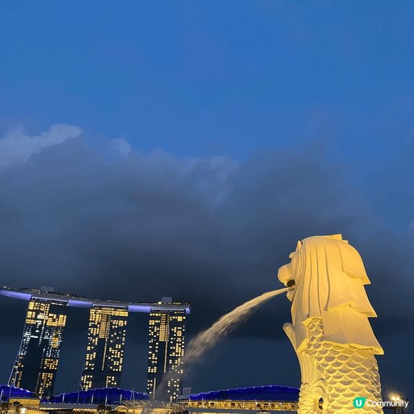 晚上在魚尾獅公園拍攝之魚尾獅背影，旁邊則是豪華壯麗之金沙酒店...