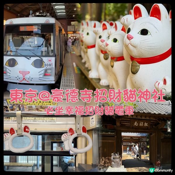 招福貓發源地@豪德寺