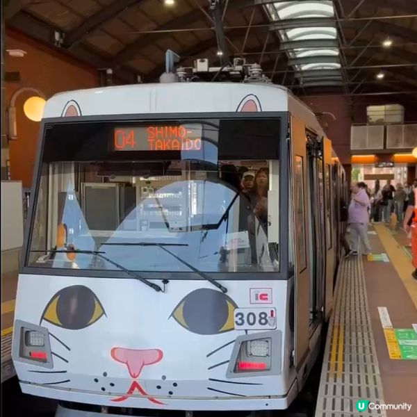 招福貓發源地@豪德寺