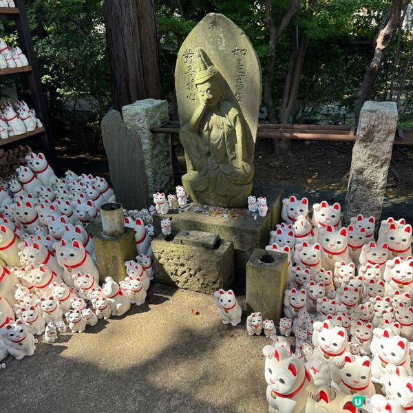 招福貓發源地@豪德寺