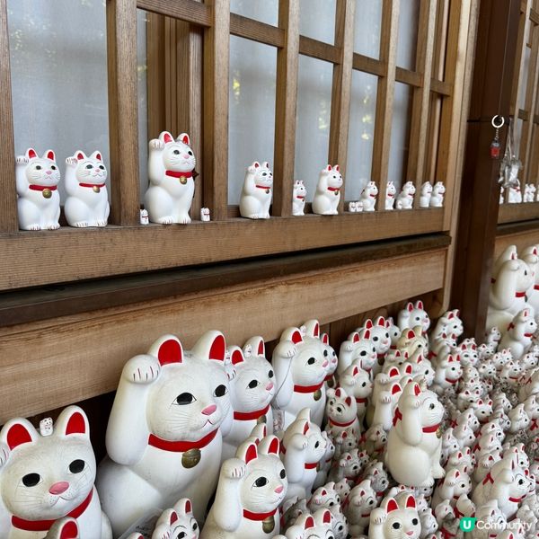 招福貓發源地@豪德寺