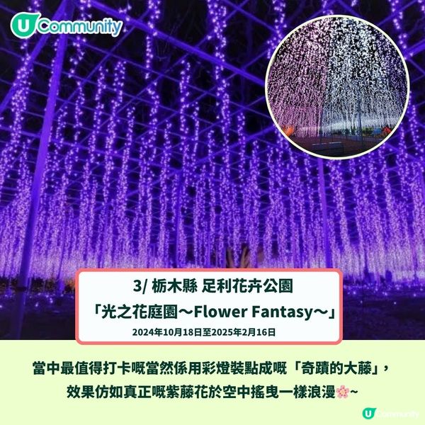 日本聖誕燈飾2024｜最美好去處8大推介✨日本三大燈光秀／打卡東京鐵塔／夢幻樂園❤️(附日期!)