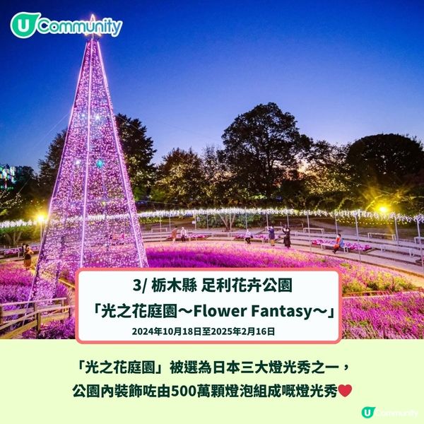 日本聖誕燈飾2024｜最美好去處8大推介✨日本三大燈光秀／打卡東京鐵塔／夢幻樂園❤️(附日期!)