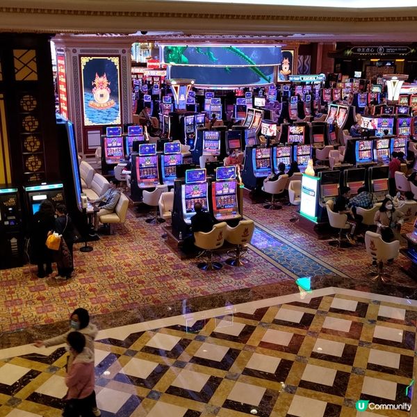 ## 澳門必去威尼斯人渡假村🚣‍♀️超靚運河打卡一流💜