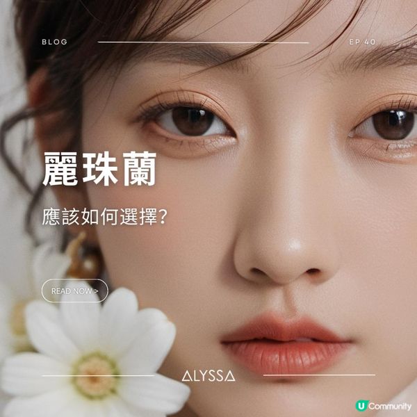 麗珠蘭，應該如何選擇？