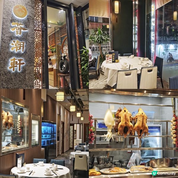 新開🎊高級😍潮州🥢菜館