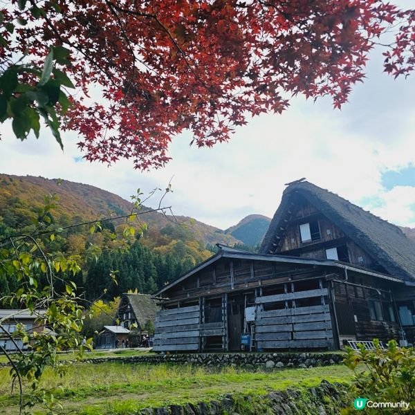 探索紅葉下的白川鄉🛖🛖🛖