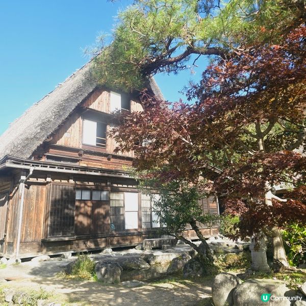 探索紅葉下的白川鄉🛖🛖🛖