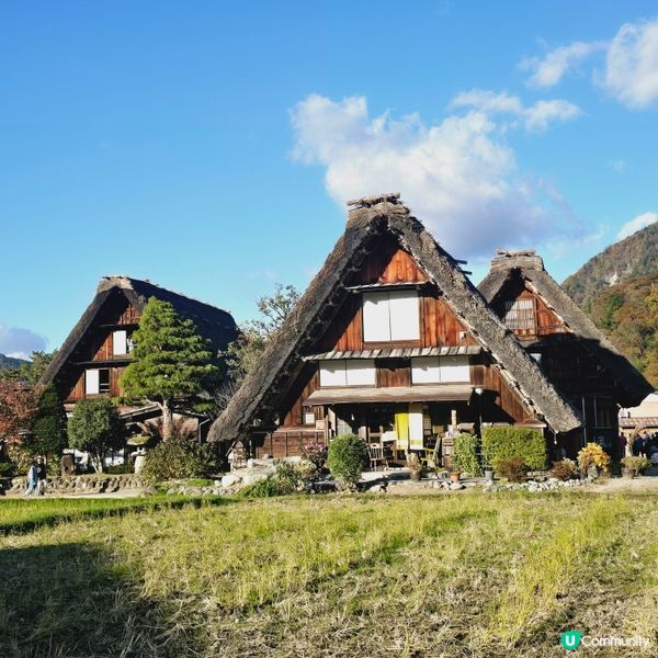 著名的白川鄉的打咭點🫡