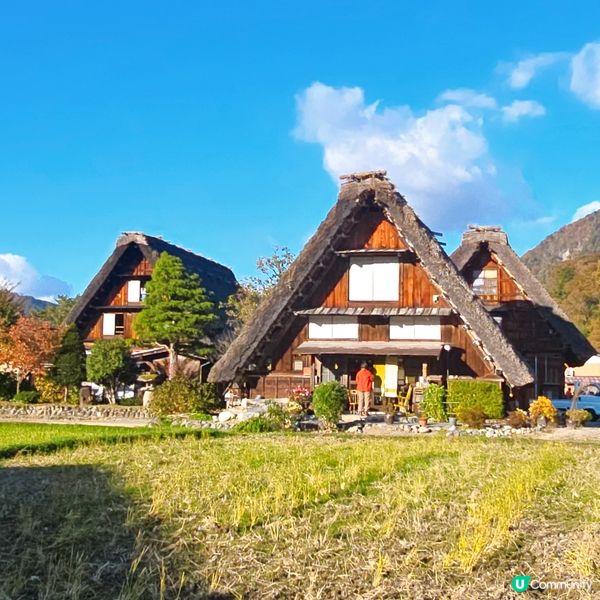 著名的白川鄉的打咭點🫡