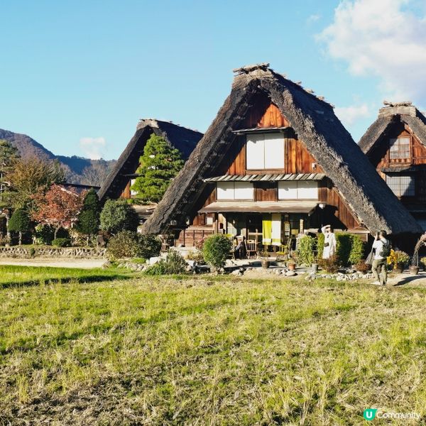 著名的白川鄉的打咭點🫡