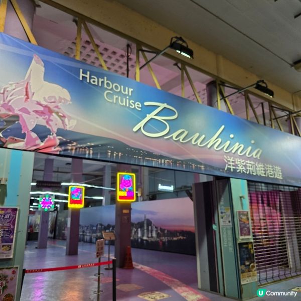 維港夜遊，洋紫荊帶你飛 🛥️✨