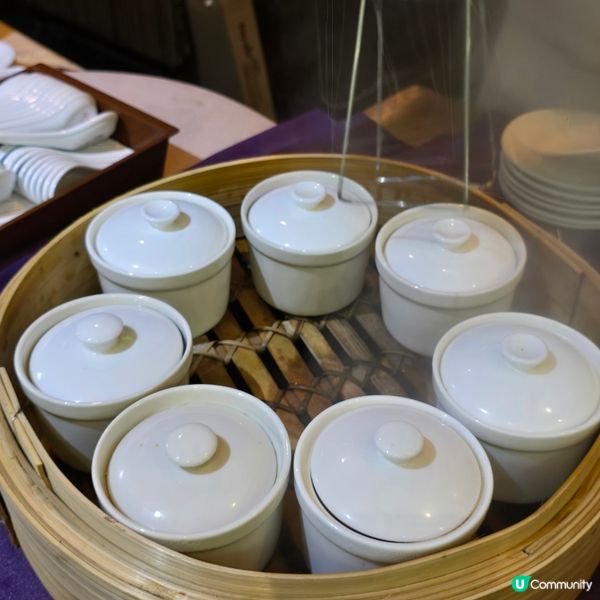 維港夜遊，洋紫荊帶你飛 🛥️✨