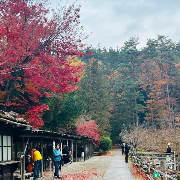 迷你白川鄉 — 飛驒の里