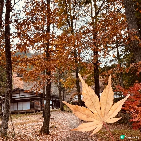 迷你白川鄉 — 飛驒の里