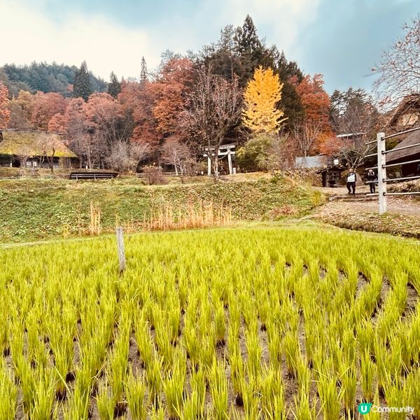 迷你白川鄉 — 飛驒の里