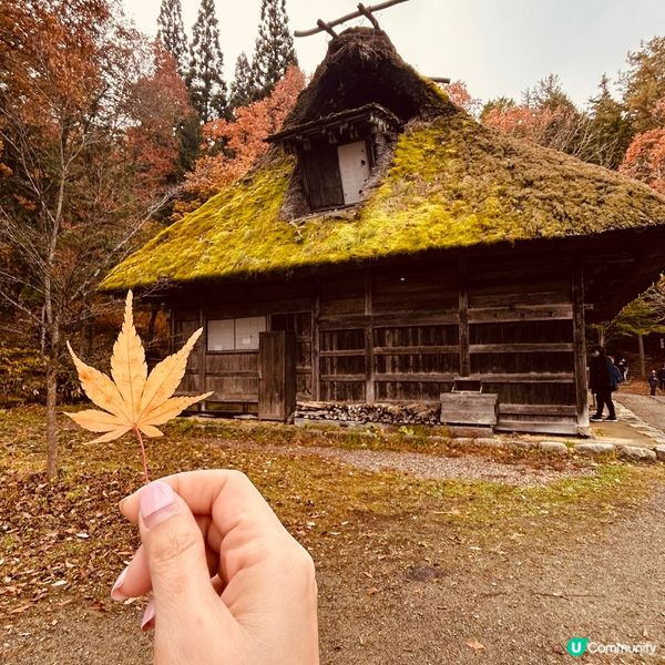 迷你白川鄉 — 飛驒の里