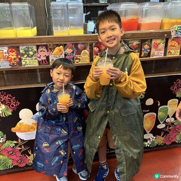 【 沖繩南部一日遊|帶你遊走多個人氣景點 】