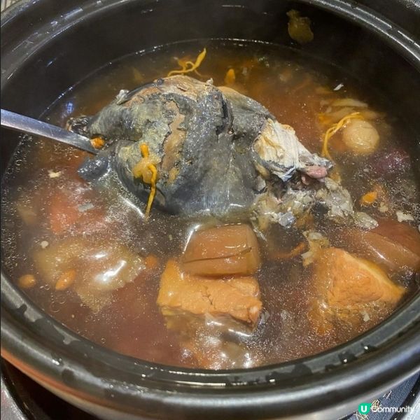 ## 天氣凍必食火鍋放題🔥食盡雞煲海鮮拼盤燉湯💜