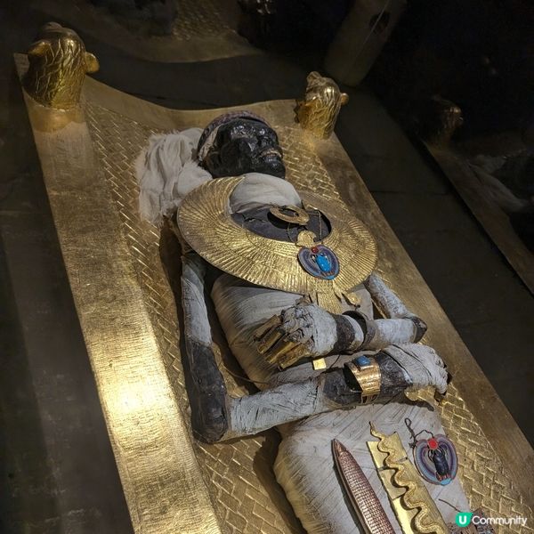 🌟 重生回到圖坦卡門墓重現世人那天 🏺