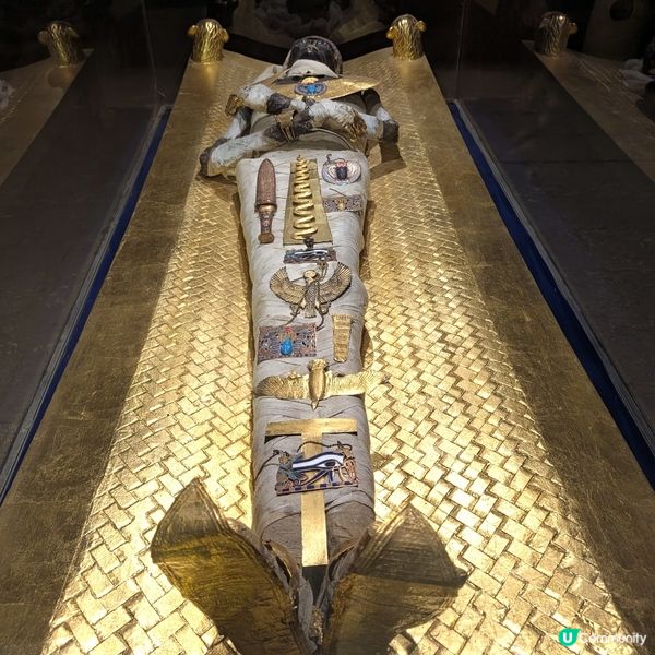 🌟 重生回到圖坦卡門墓重現世人那天 🏺