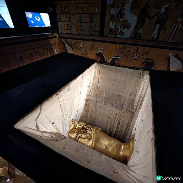 🌟 重生回到圖坦卡門墓重現世人那天 🏺