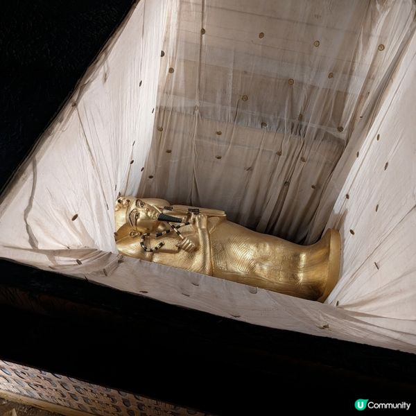 🌟 重生回到圖坦卡門墓重現世人那天 🏺