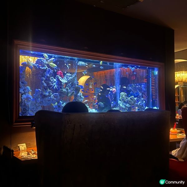 大阪10,000條熱帶魚的水族館主題餐廳