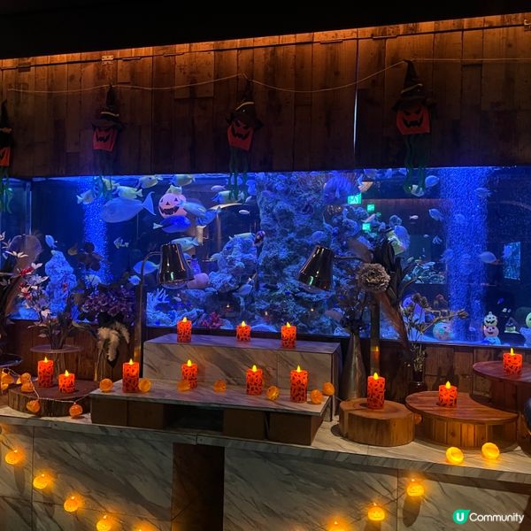 大阪10,000條熱帶魚的水族館主題餐廳