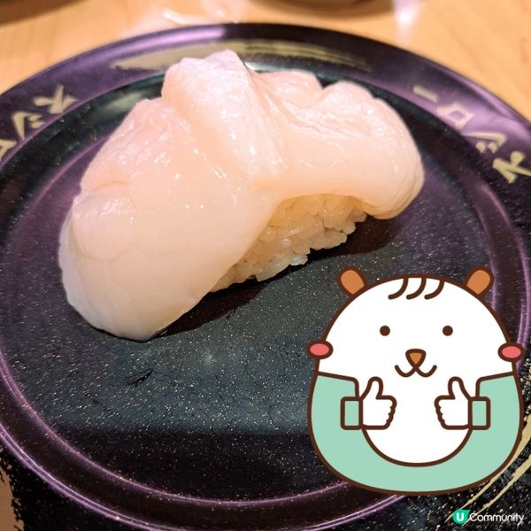 快閃限定~特大帆立貝