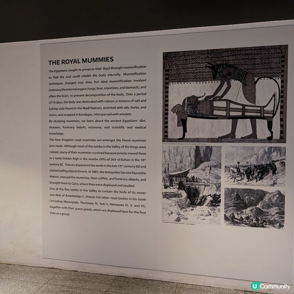 🇪🇬 必去！埃及文明博物館 - 親眼目睹千年木乃伊的震撼