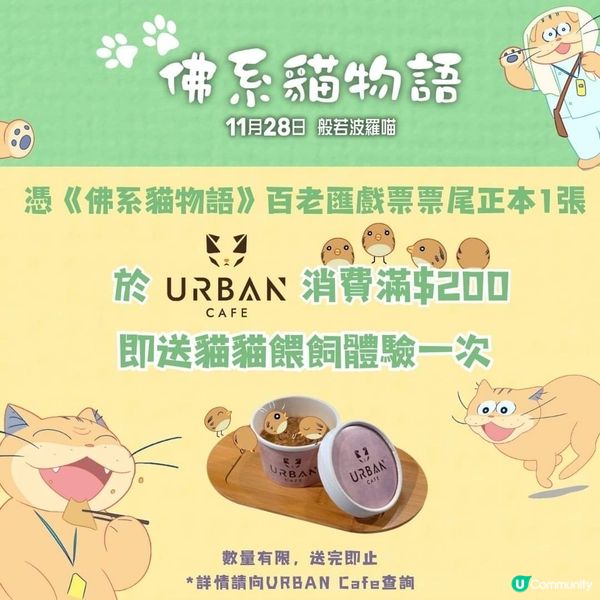 睇《佛系貓物語》請你餵貓貓