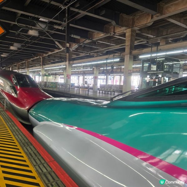 #日本好去處 #UCreator #日本櫻花 #旅行打卡 #...