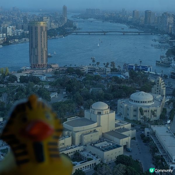 🌇 歧視單身人士既開羅塔?