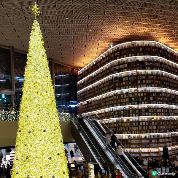 ## 韓國首爾聖誕打卡必去🔥星空圖書館超靚🎄✨💜