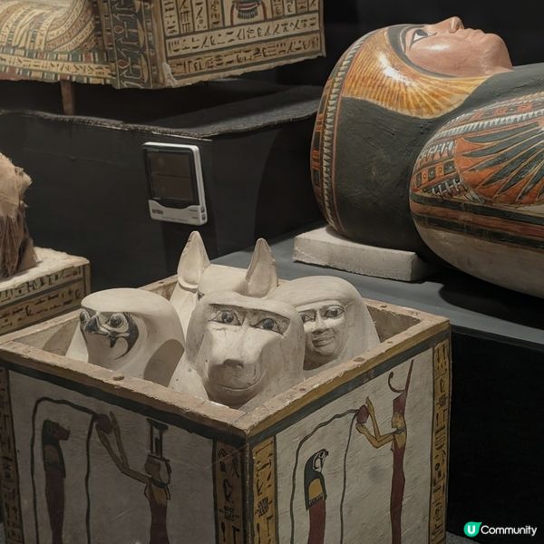 🐤讓我來守護你的心肝胃肺