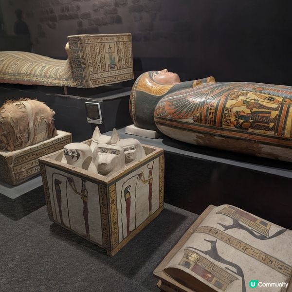 🐤讓我來守護你的心肝胃肺