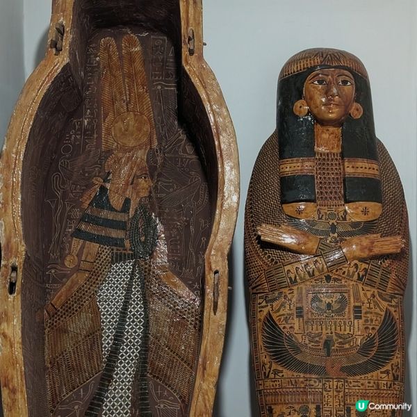 🐤讓我來守護你的心肝胃肺