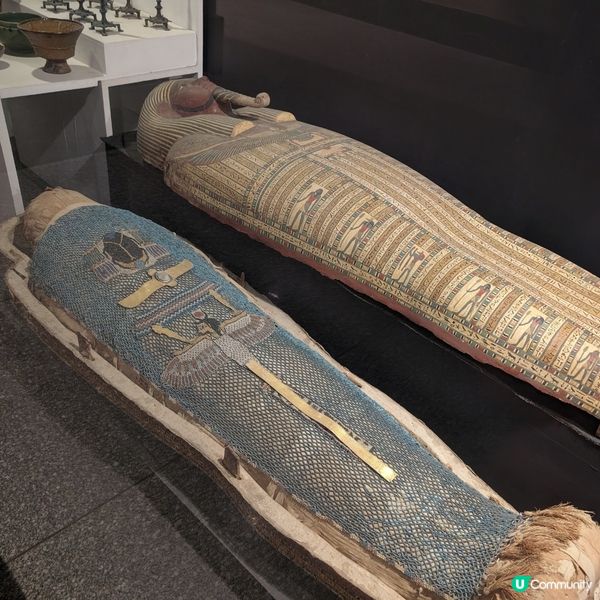 🐤讓我來守護你的心肝胃肺