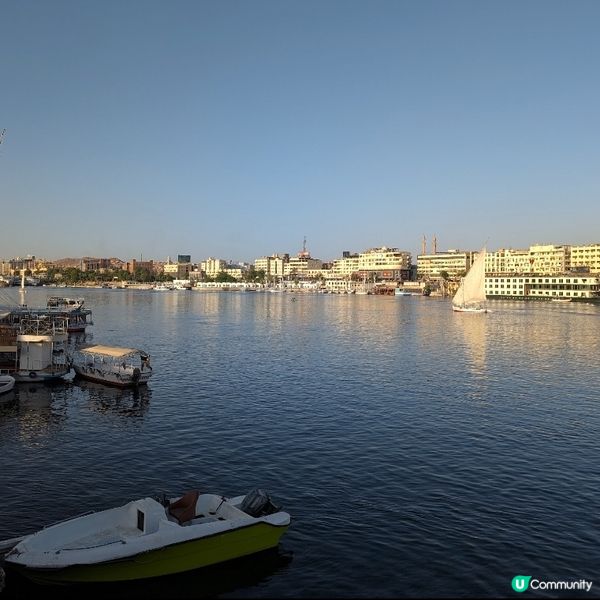 🐤在Aswan的美食沙漠中遇上King Jamaica