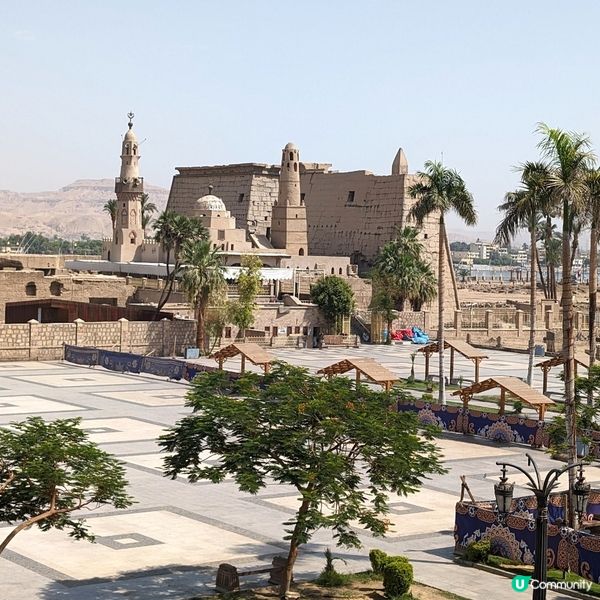 🐤在路克索神殿旁享用早餐的時光 🏺✨