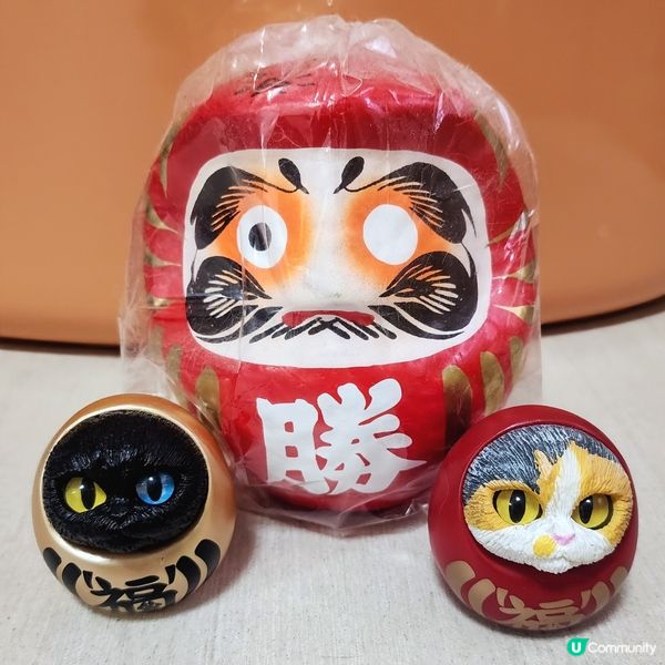 💥達摩貓🐱 可愛到爆‼️🤩