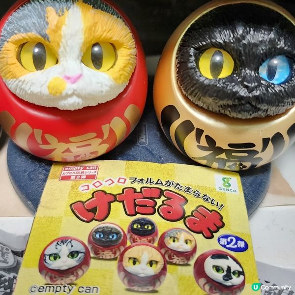 💥達摩貓🐱 可愛到爆‼️🤩