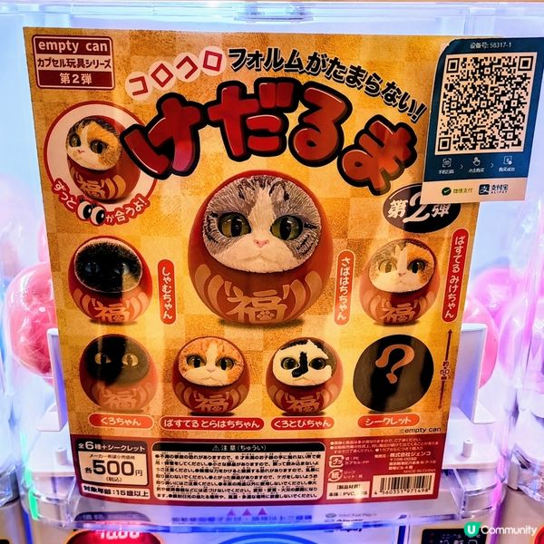 💥達摩貓🐱 可愛到爆‼️🤩