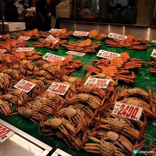 金澤近江町市場🦀 冬日蟹宴🤤