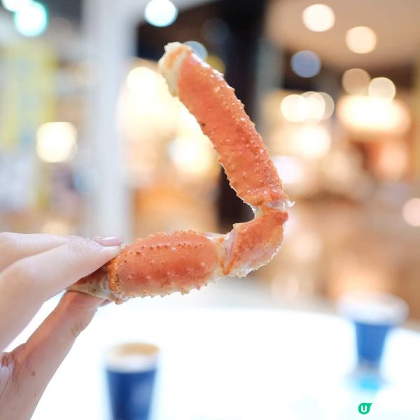 金澤近江町市場🦀 冬日蟹宴🤤