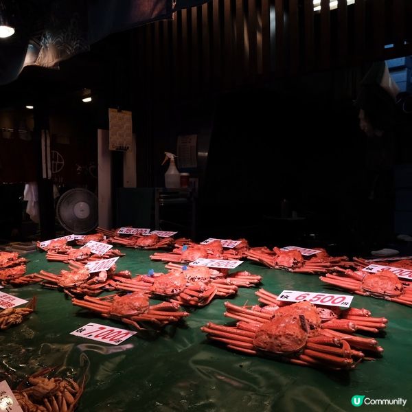 金澤近江町市場🦀 冬日蟹宴🤤