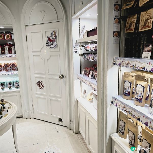 水曜日的愛麗絲🧚‍♀️