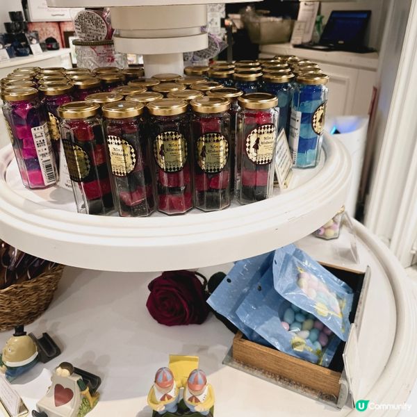 水曜日的愛麗絲🧚‍♀️